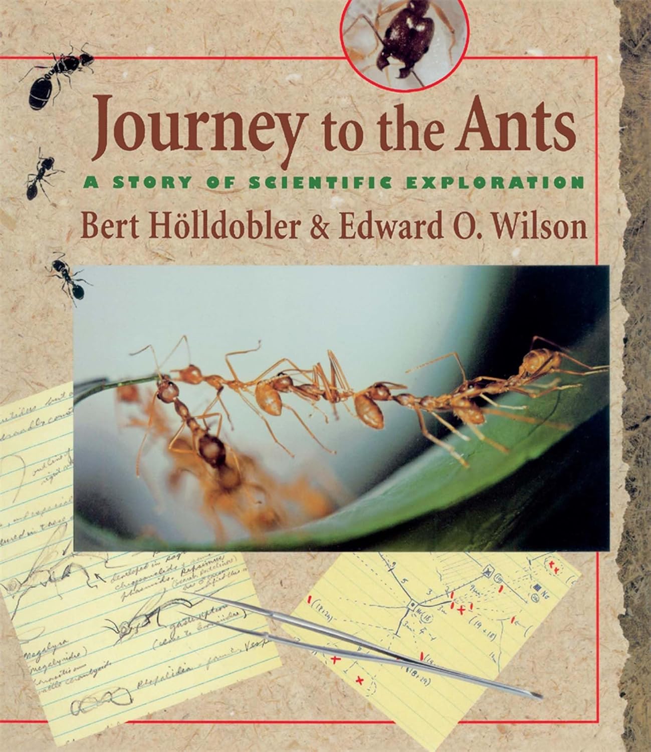 Journey to the Ants: A Story of Scientific Exploration by Edward O. Wilson