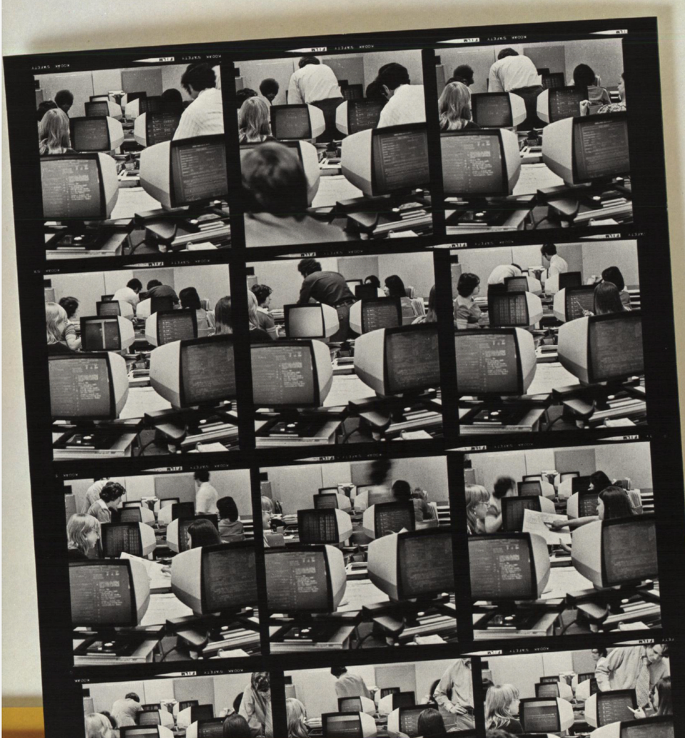 Darling, Fraud & Fortune