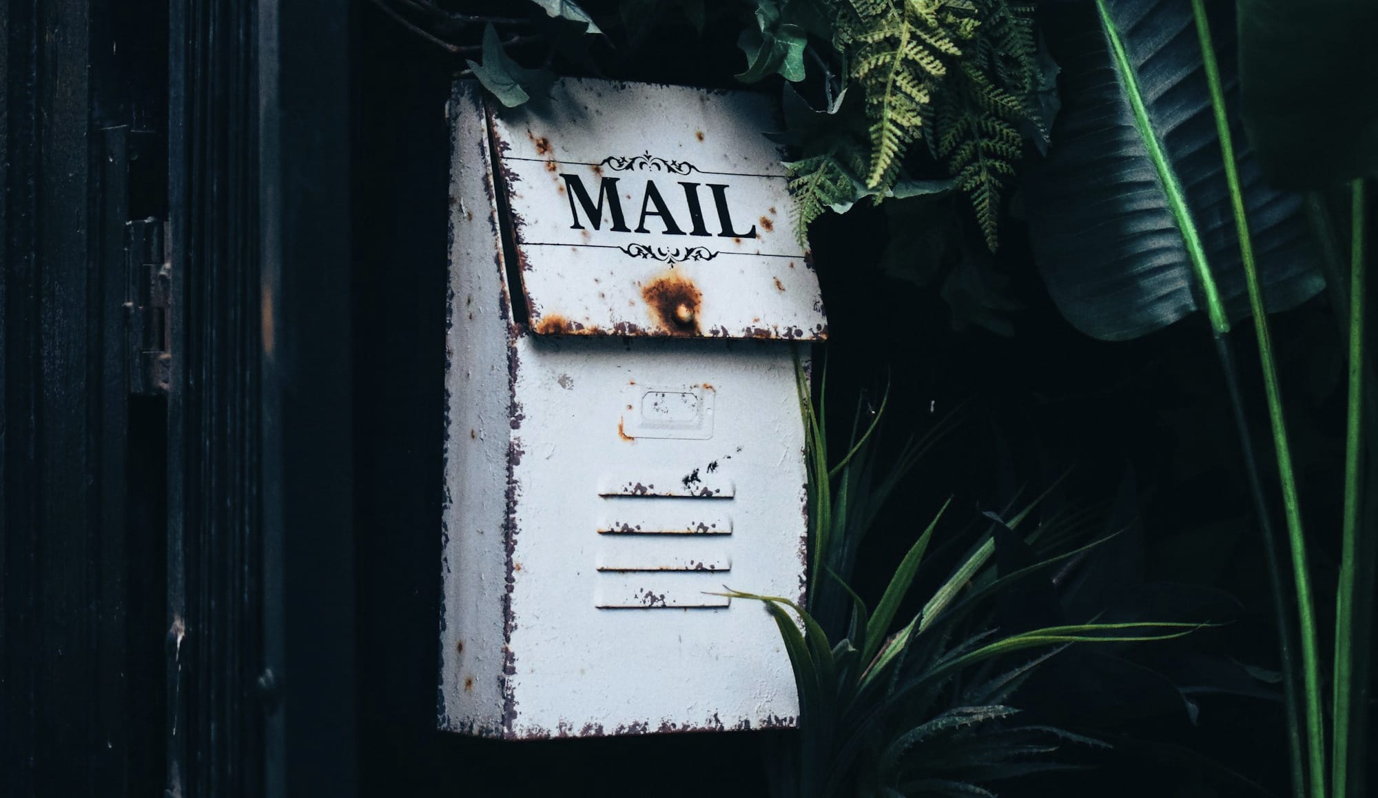 an old mailbox is surrounded by tropical plants