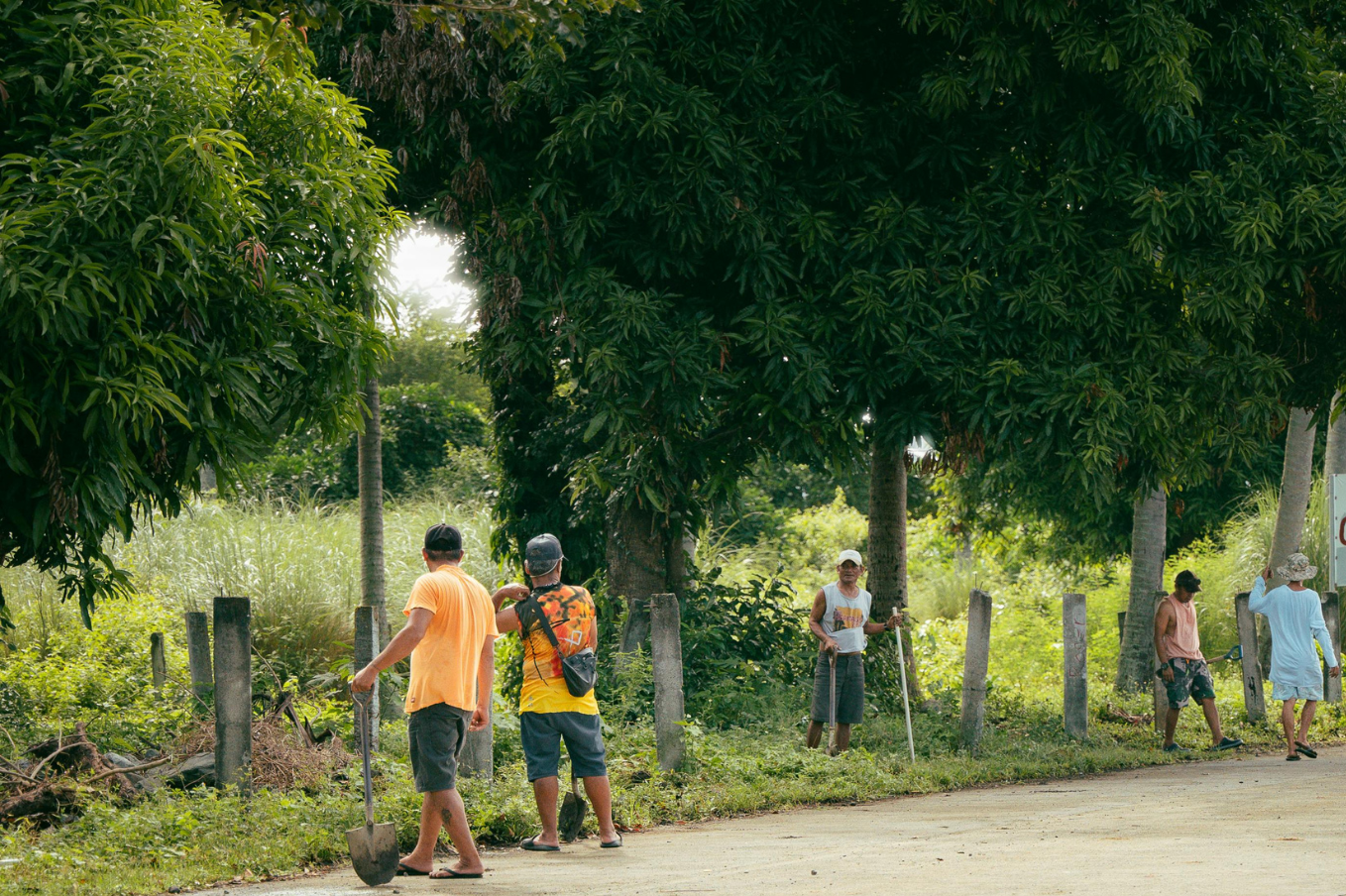 A group of people cleaning up an overgrown area of their neighborhood together