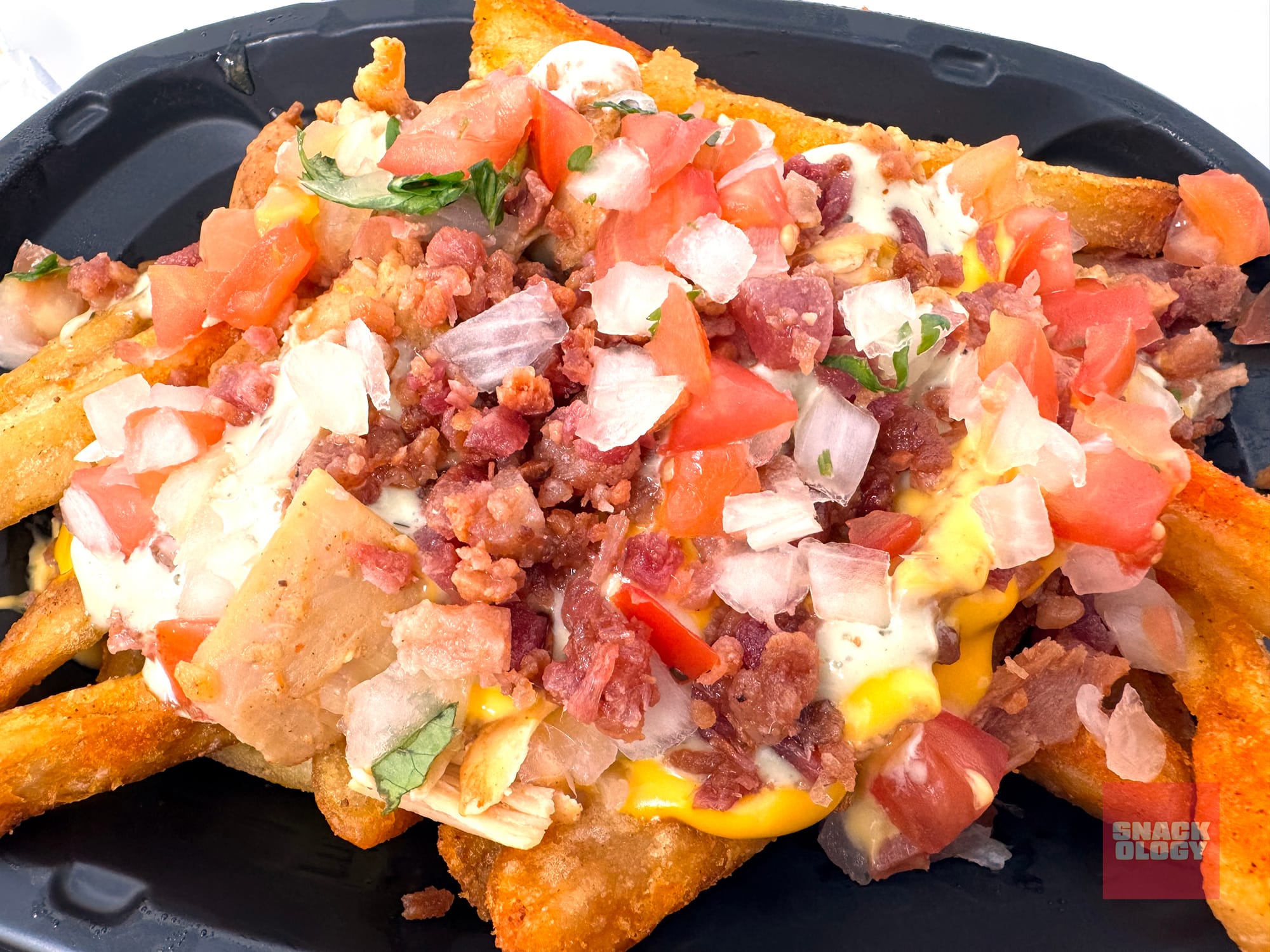 Chicken Bacon Ranch Nacho Fries