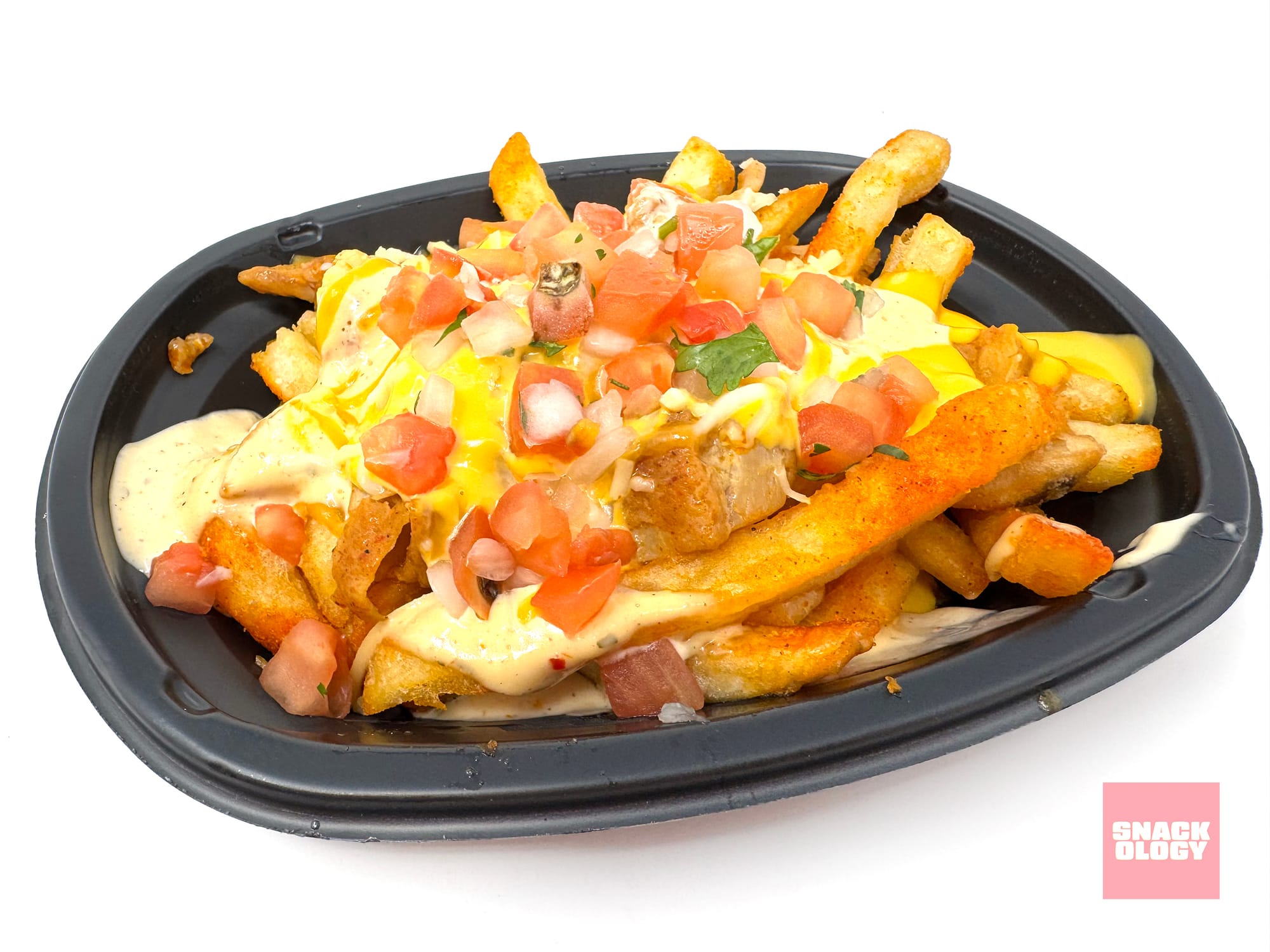 Zab’s Chicken Ranch Nacho Fries