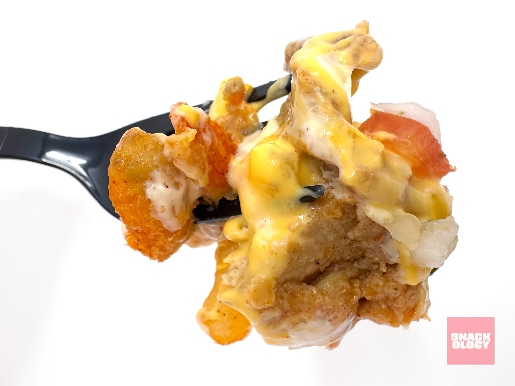 Zab’s Chicken Ranch Nacho Fries