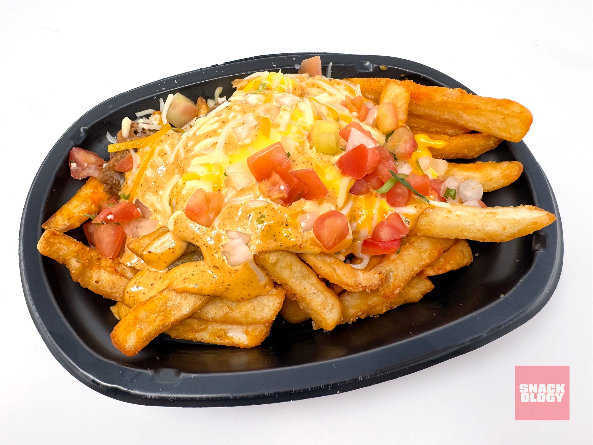 Shredded Beef Nacho Fries