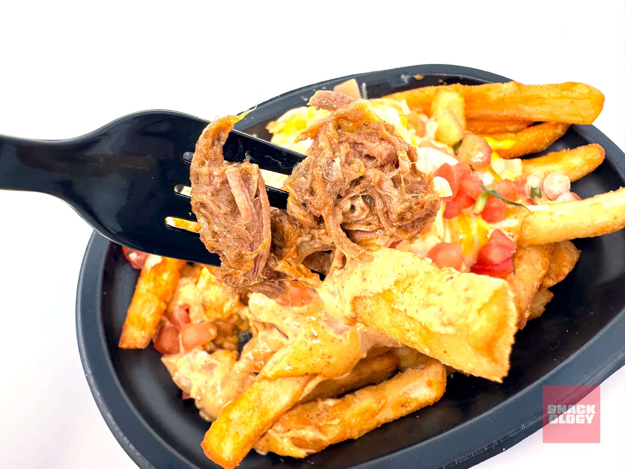 Shredded Beef Nacho Fries