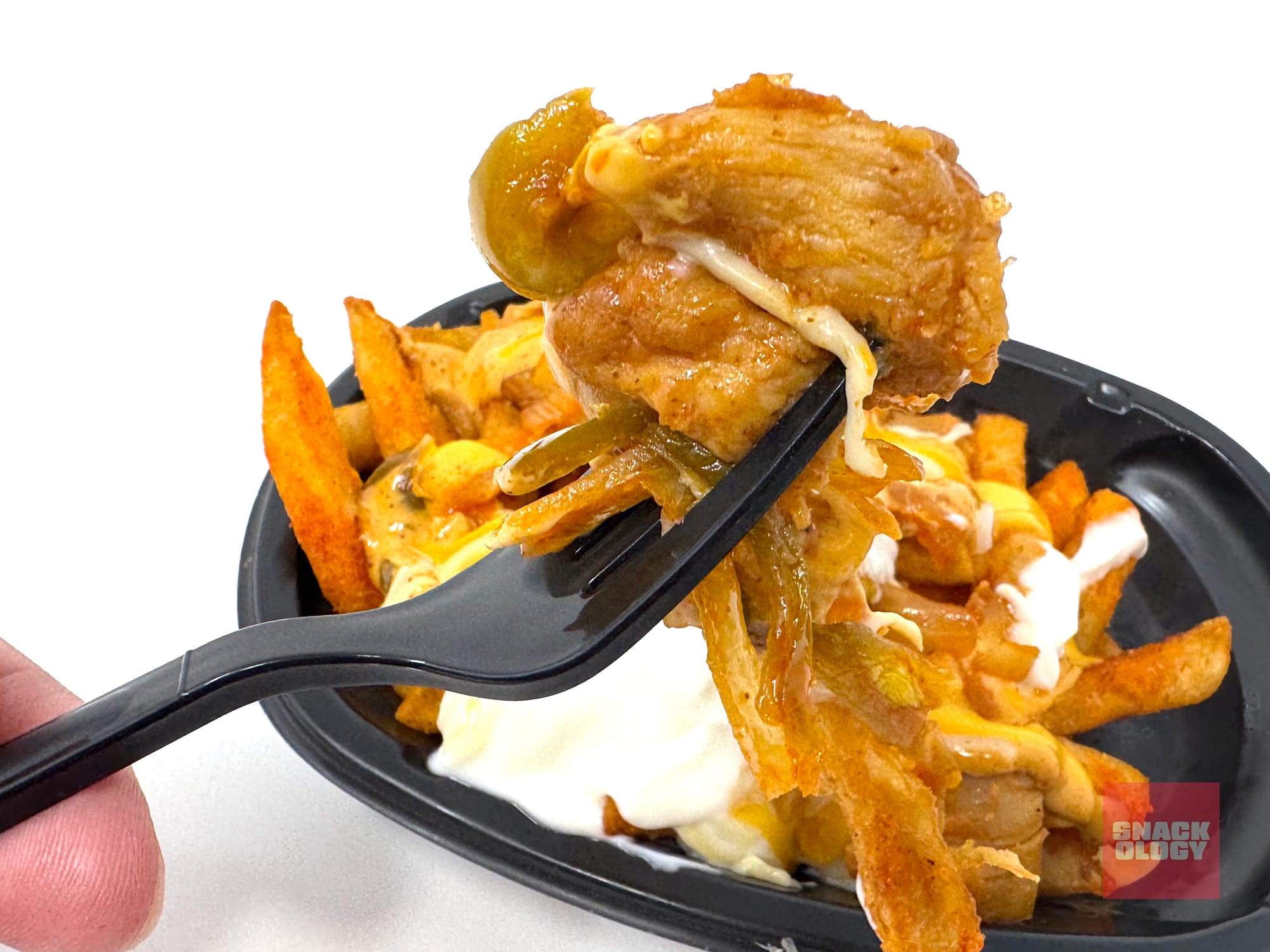 Chicken Fajita Nacho Fries
