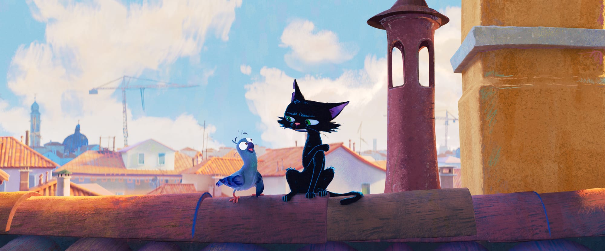 Saverio and Nero in Gatta