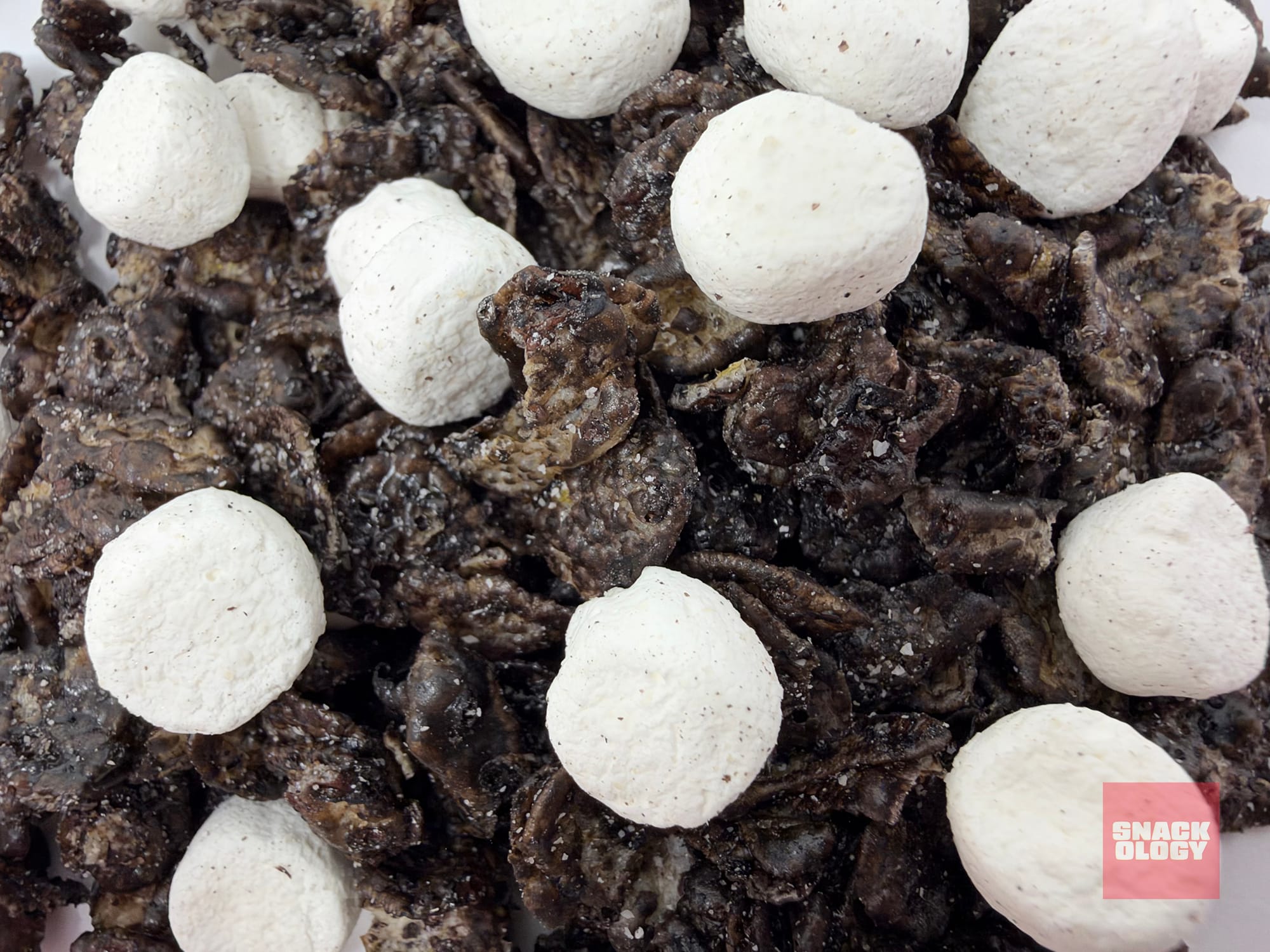 Naughty List Cocoa Pebbles with Marshmallows