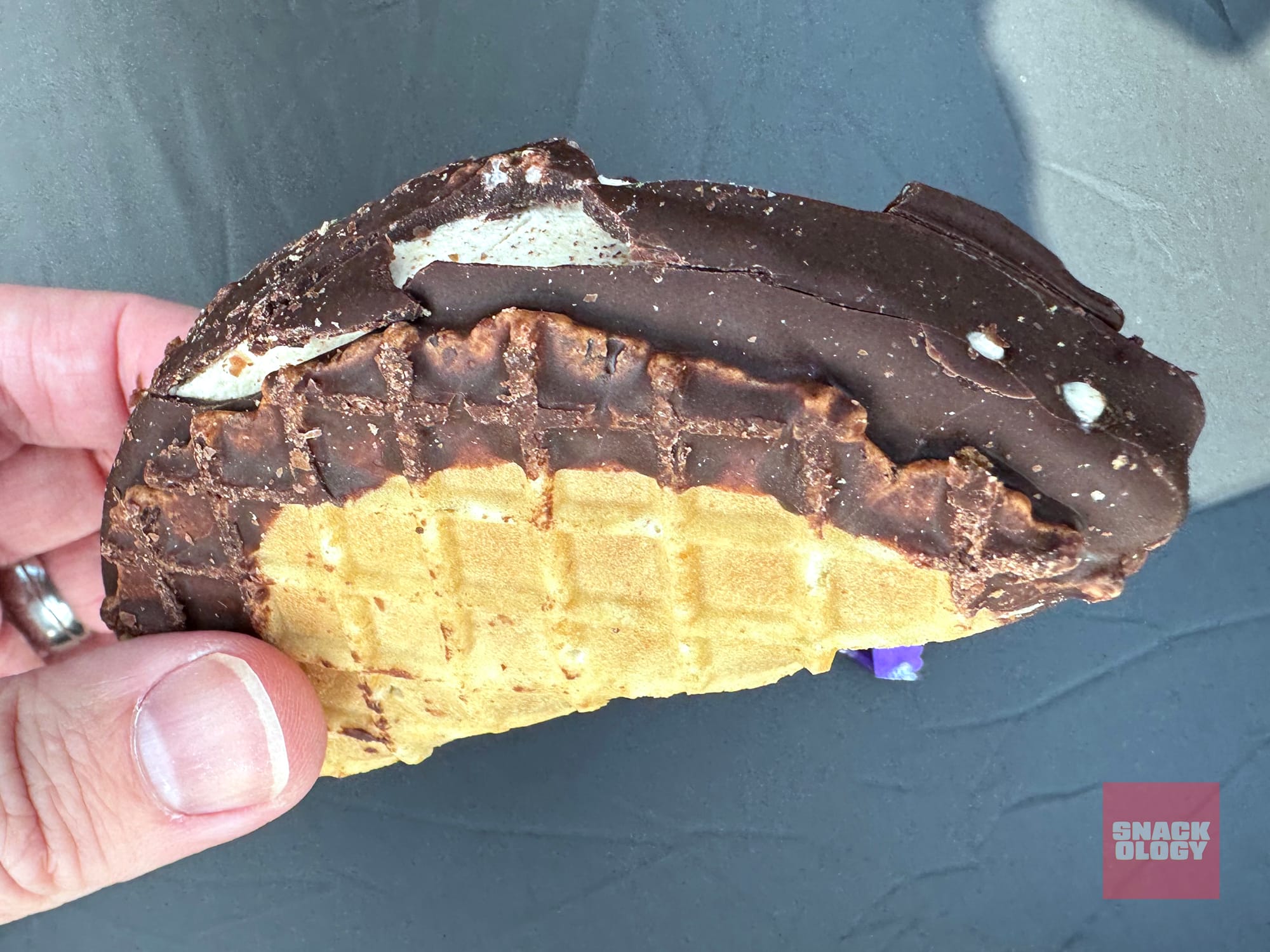 The Salt & Straw Churro Ice Cream Taco