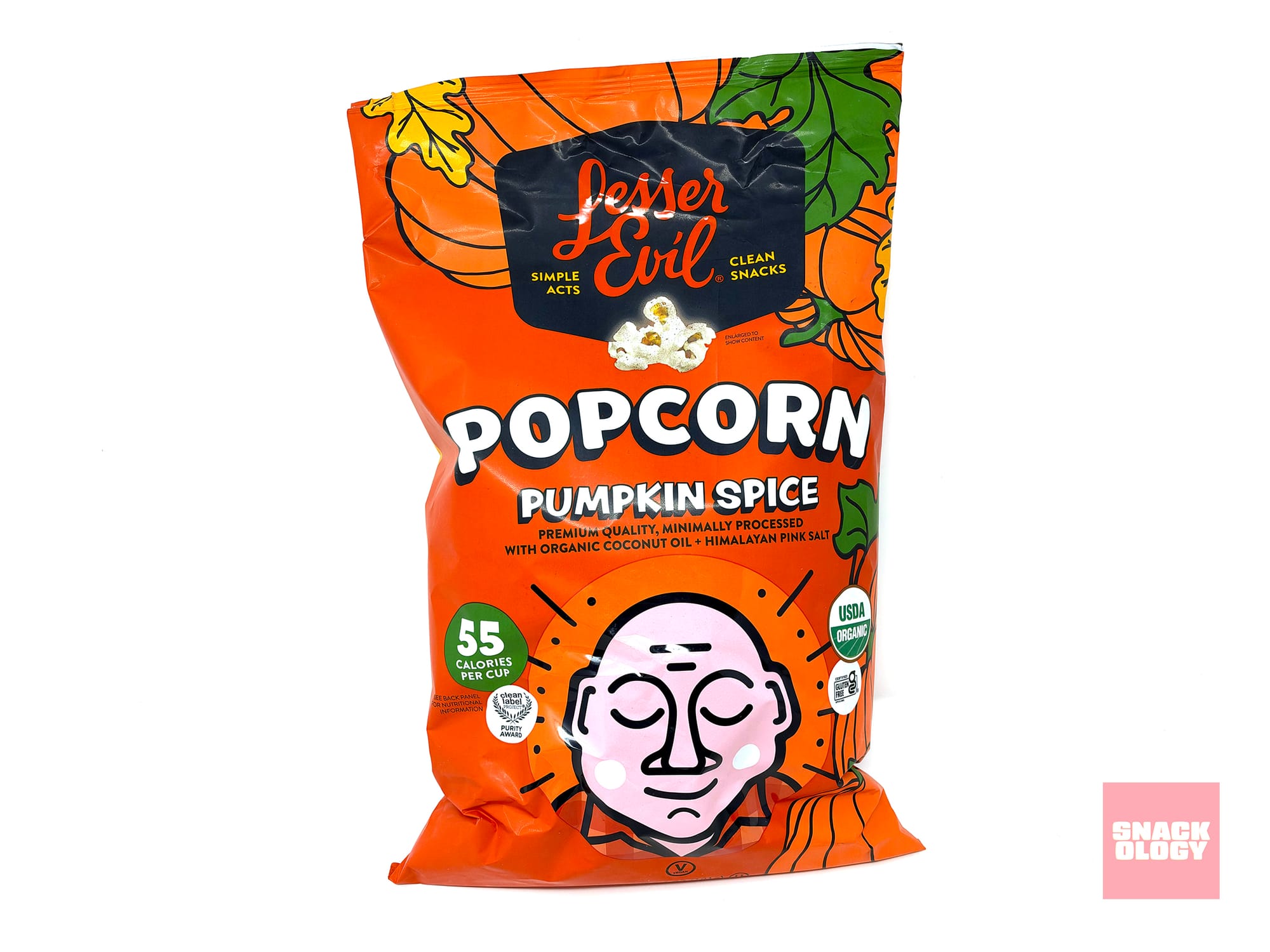 LesserEvil Pumpkin Spice Popcorn