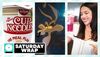 Cup Noodles, Wile E. Coyote in Coyote vs. Acme, and Olivia Rodrigo and the You Seem Pretty Pink for a Baja Blast