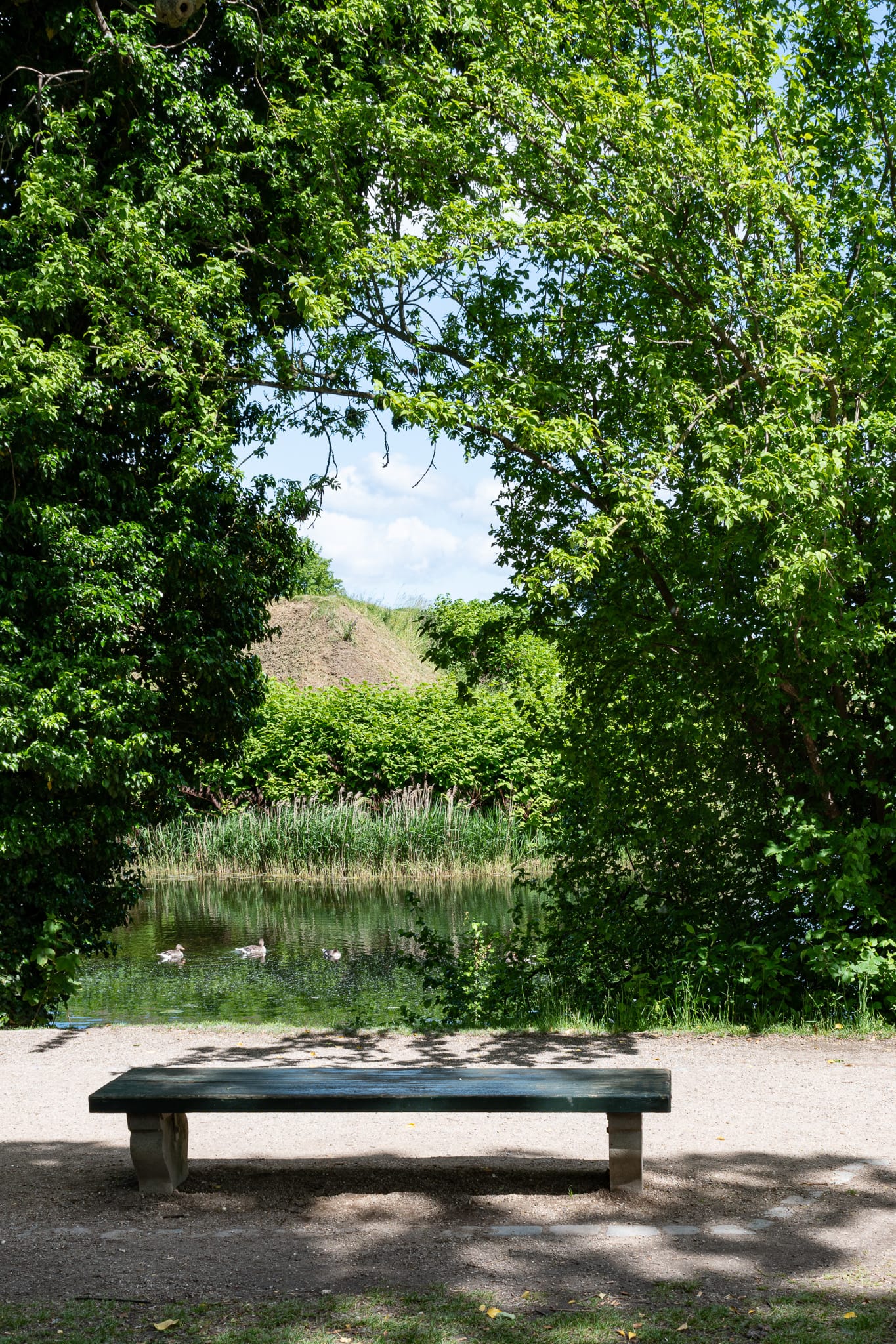 A bench on a dirt walking path with a gap in the foliage, ducks on the moat, an embankment across the water
