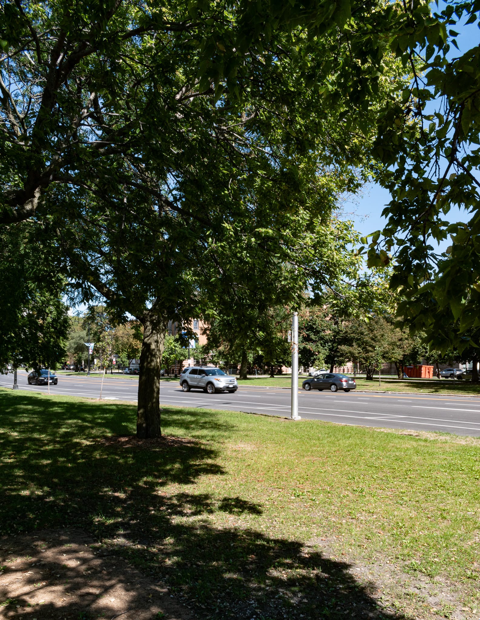 A little grassy area next to a big road.