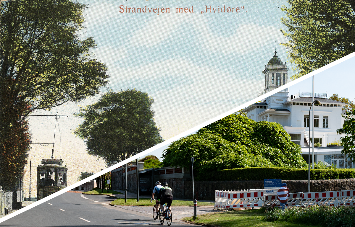 Merged image of the postcard and photo