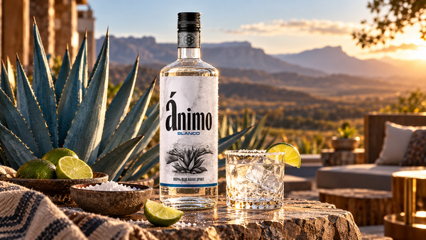 Best Tequila in South Africa: Plus the Local Agave Spirit Worth Trying