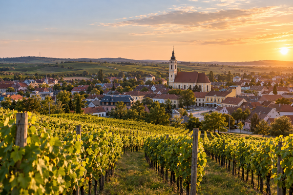 A Travel Guide to Poysdorf, Austria: Wine, Vineyards and Slow Weekends