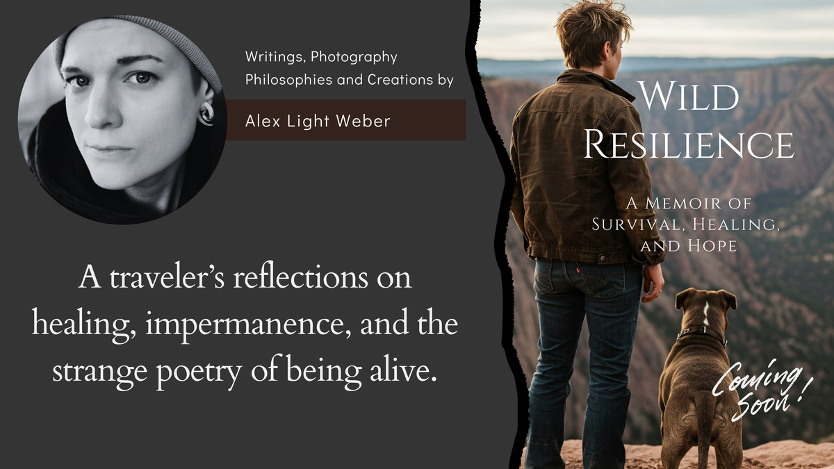 The Light Between Journeys