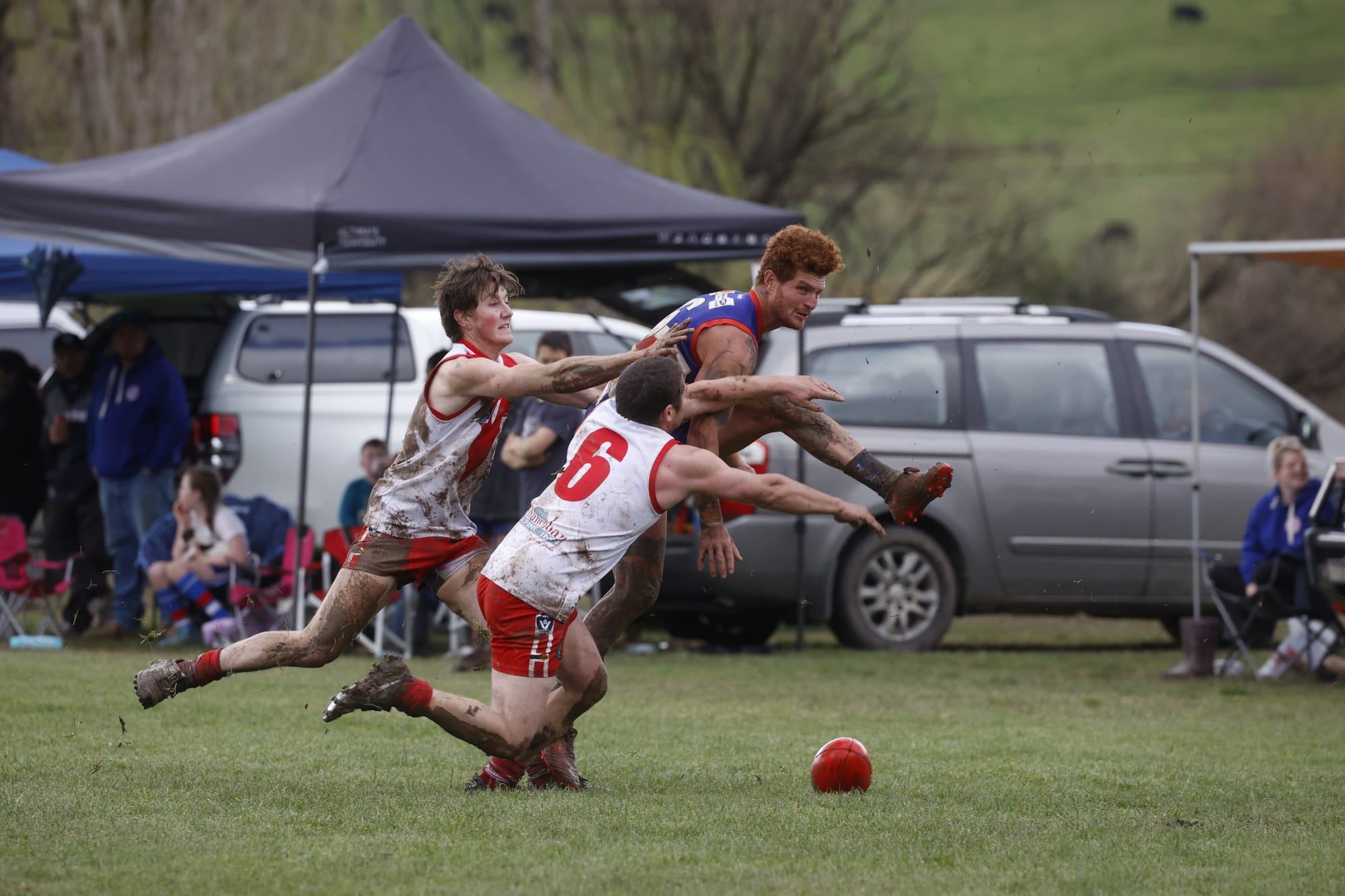 Bulldogs progress in finals campaign