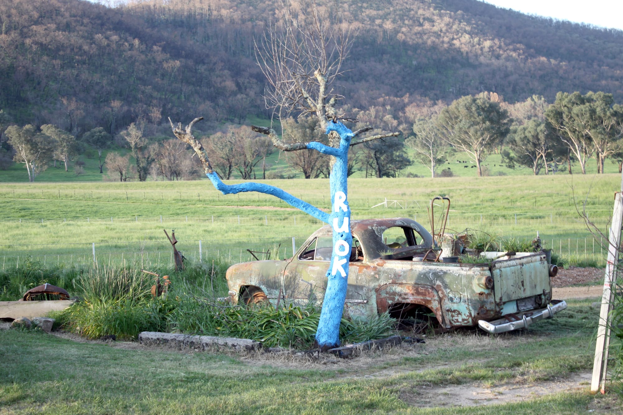 Thursday October 29, 2020