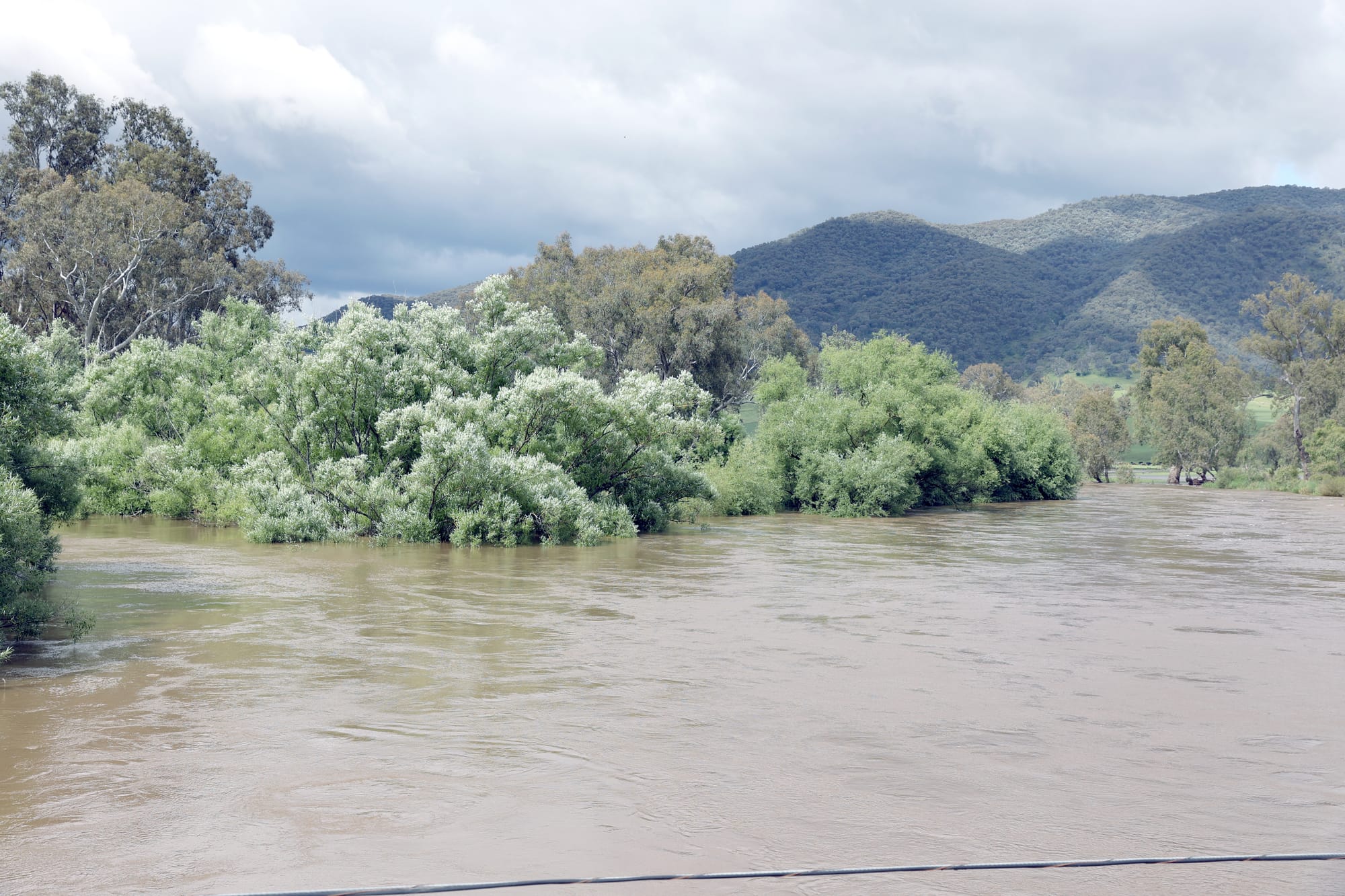 Thursday November 17, 2022