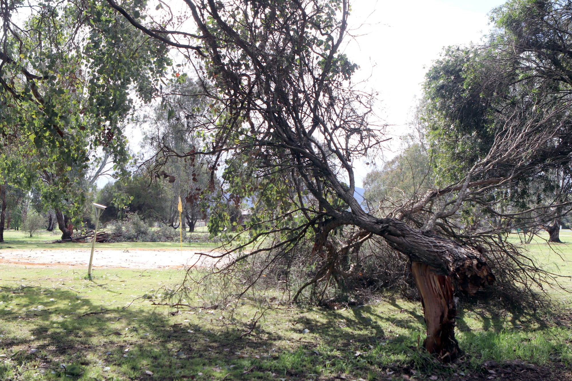 Thursday September 24, 2020