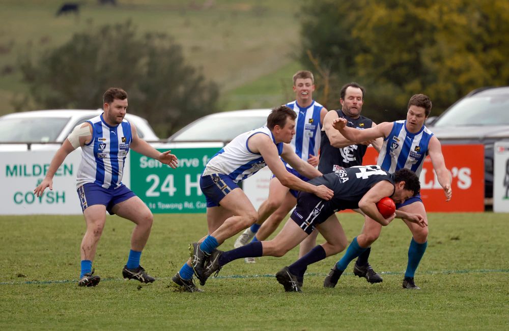 Blues canter into the decider post image