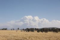 Thursday January 29, 2026 post image