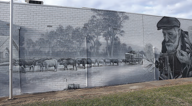 Murals celebrate our heritage post image