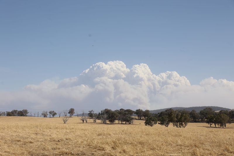 Thursday January 29, 2026 post image