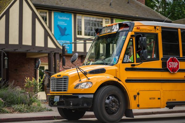 Issue 45 – The Yellow School Buses Will Keep Rolling