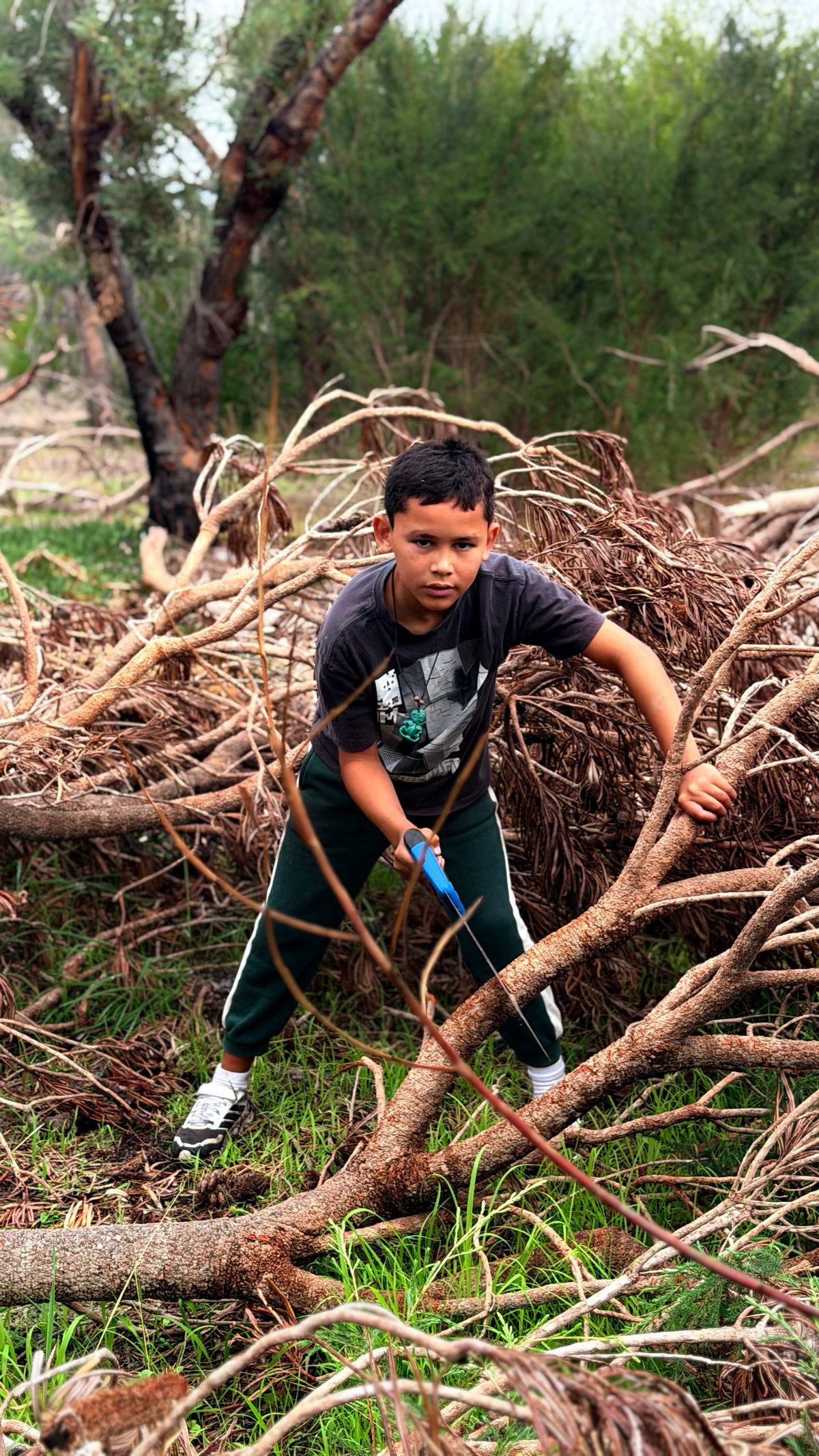 Term 2 wrap up, School Holiday Program and Vacancies for Term 3 on the Farm.