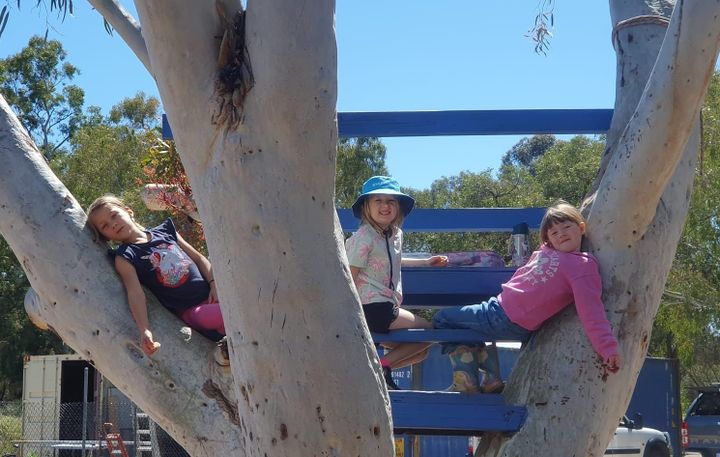 Yayy, it's Spring, life on the farm is so good, and so will be our upcoming School Holiday programs.