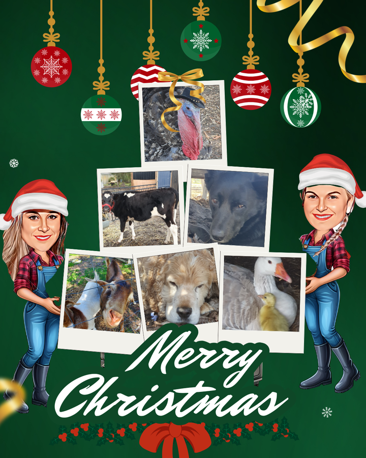 Goodbye 2025, it's been a Hoot. Hello 2026... Let the fun begin!