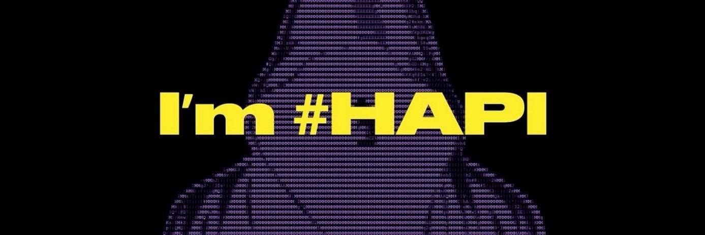 Crypto: Hapi: 3e tranche kopen - rol in crypto - cybersecurity