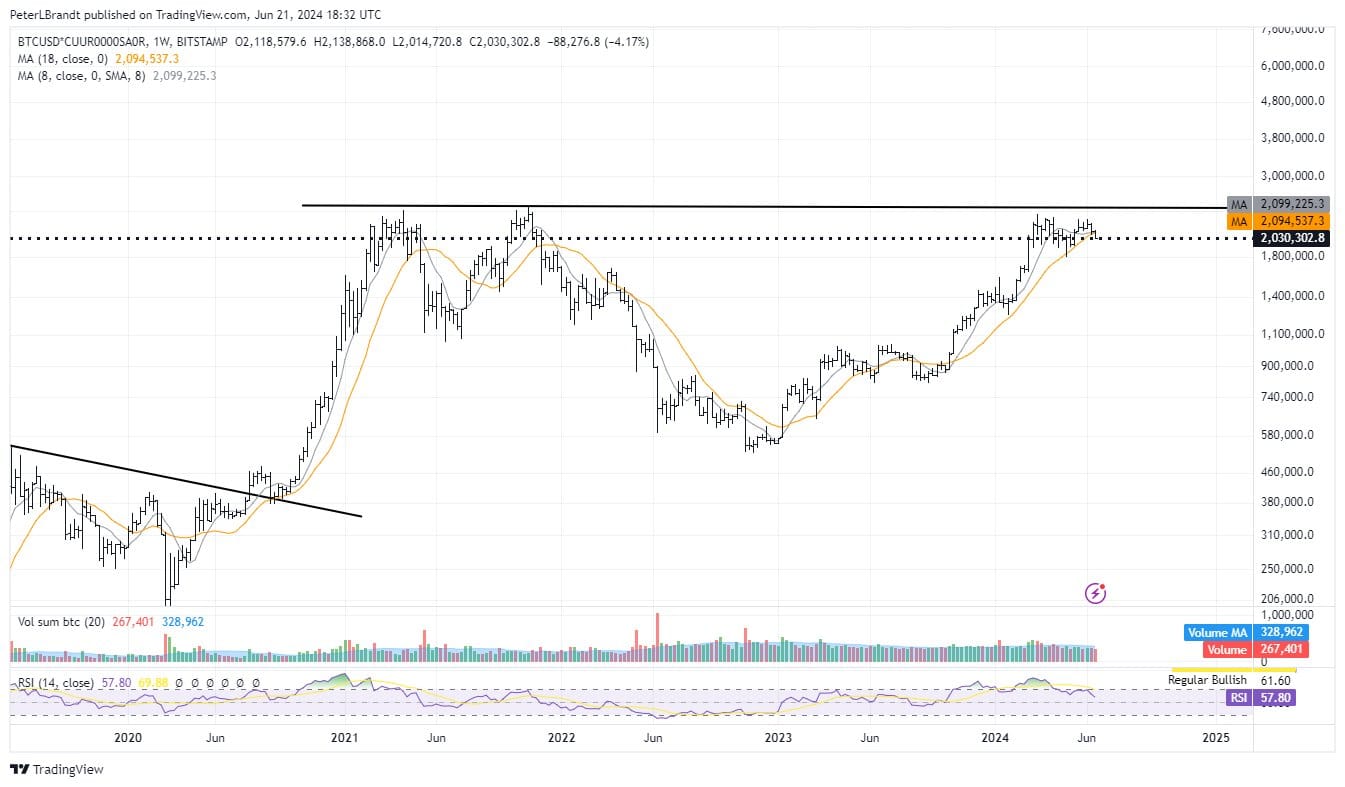 Crypto: inflatie-gecorrigeerde prijs Bitcoin blijft achter - Peter Brandt