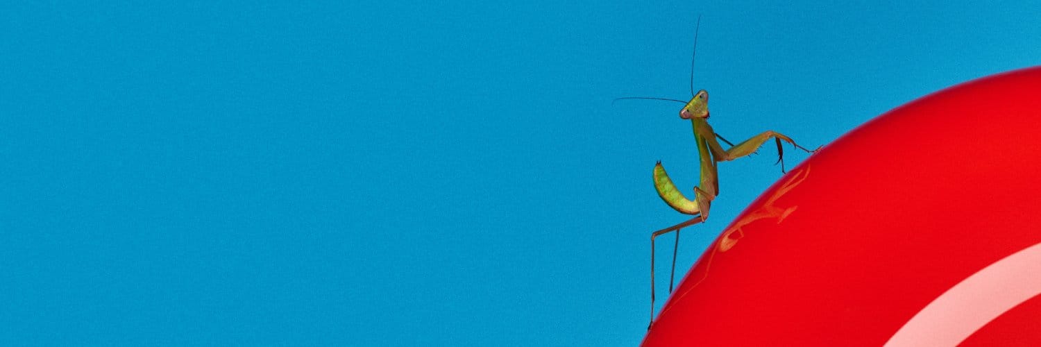 Robinhood lanceert prediction markets: Een nieuwe stap in marktdynamiek
