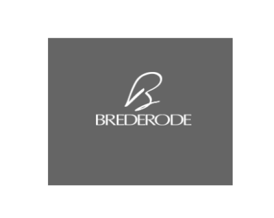 Brederode herstelt fors dankzij private equity - Visie op het aandeel