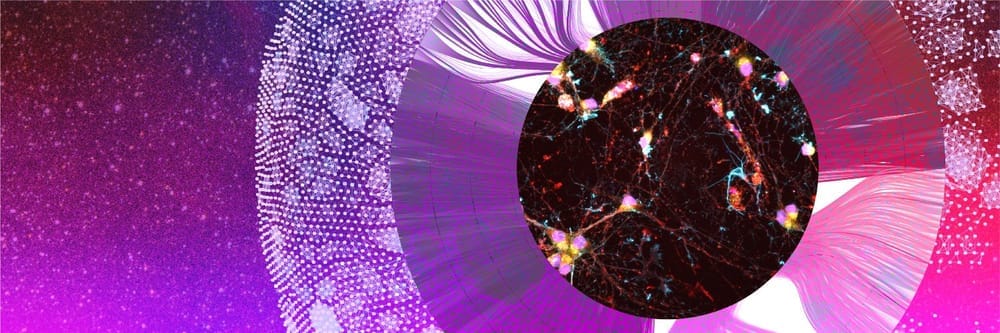 Recursion en MIT onthullen AI-model dat moleculaire bindingen voorspelt