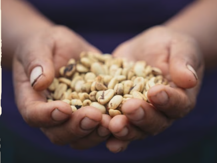 JDE Peet’s bevestigt overname door Keurig Dr Pepper: 31,85 euro per aandeel