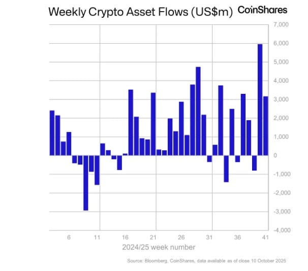 Crypto: Digitale assets zien instroom voor crash