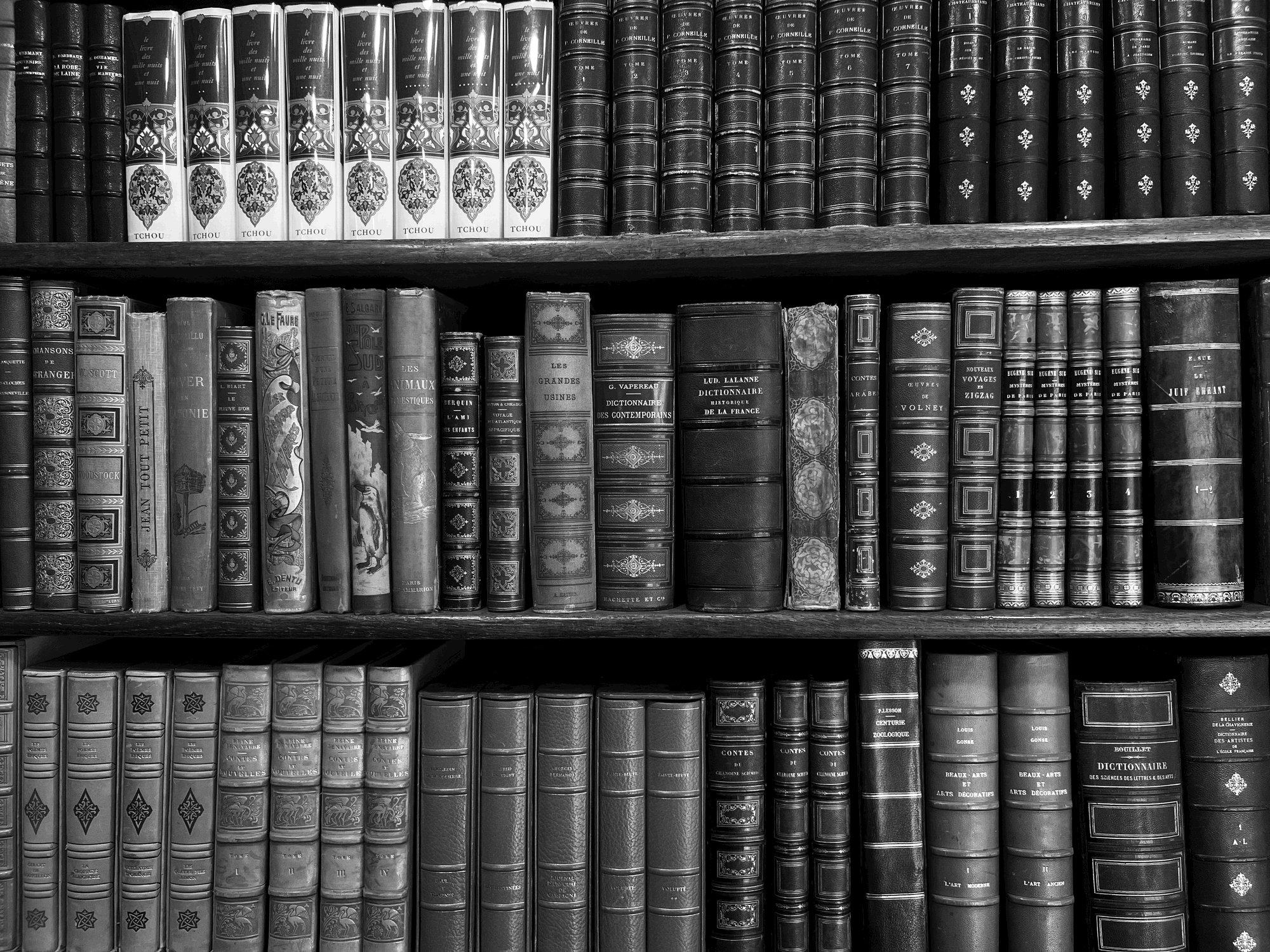 how i got into reading