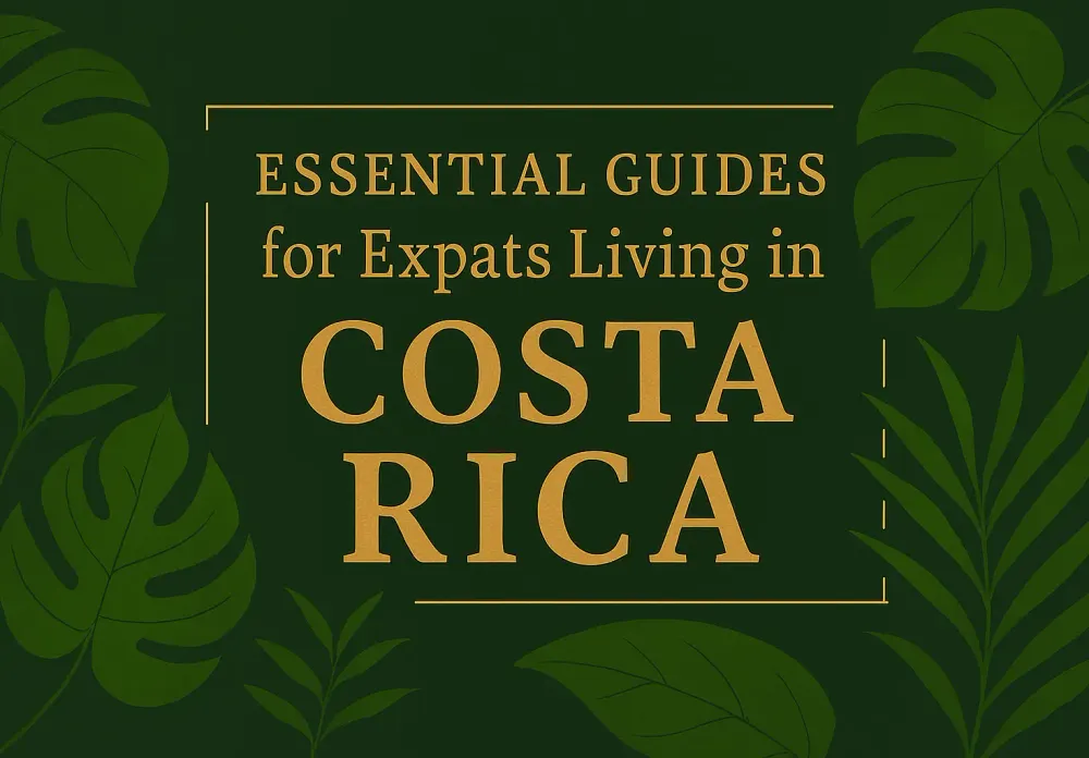 Essential Guides Image