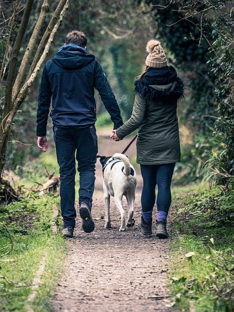 Young couple walking in winter clothing on a wooded trail with a black and white dog between them