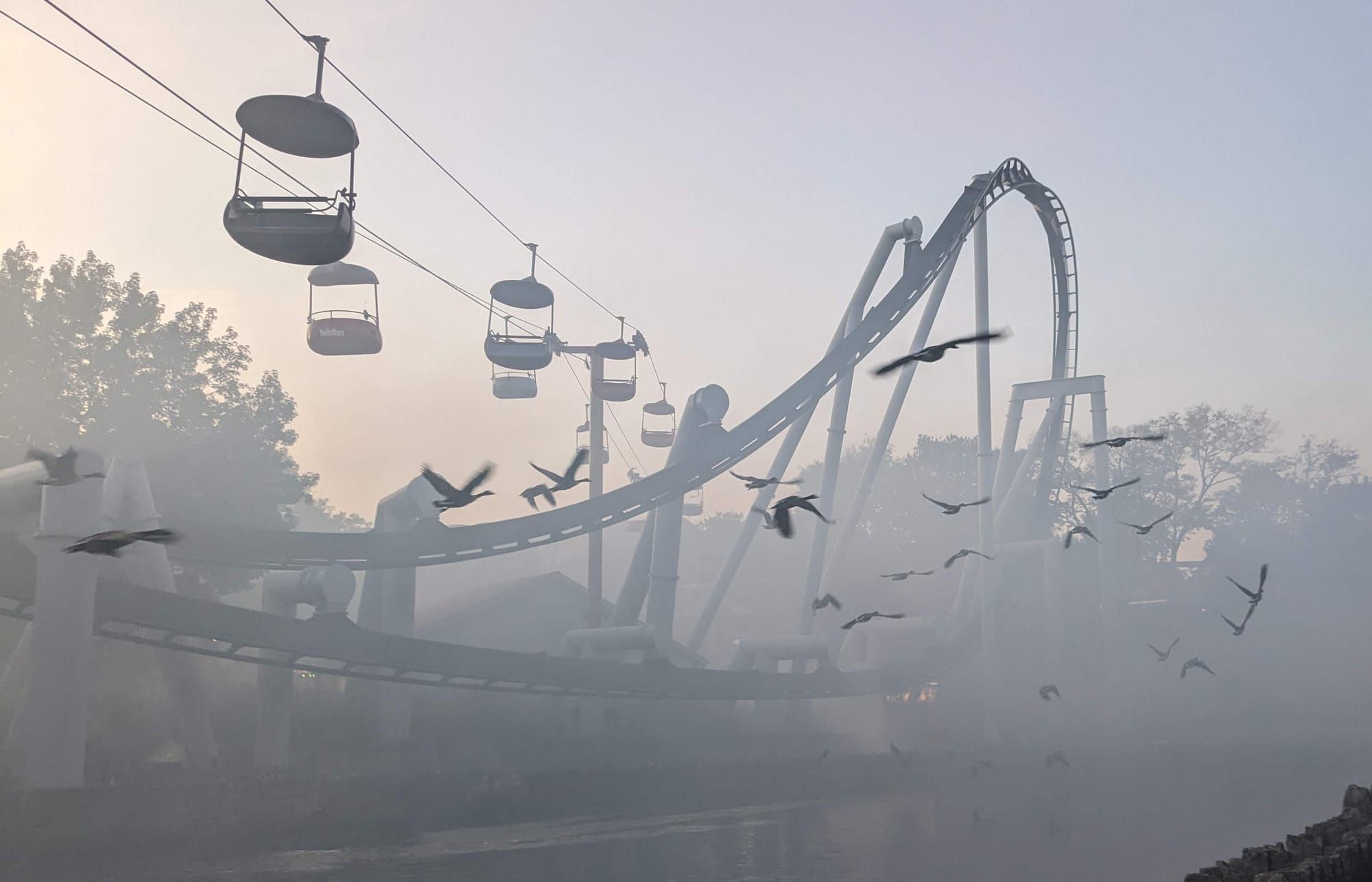 Roller coaster tracks and skylift with a foggy mist surrounding it and a flock of birds flying by in the foreground