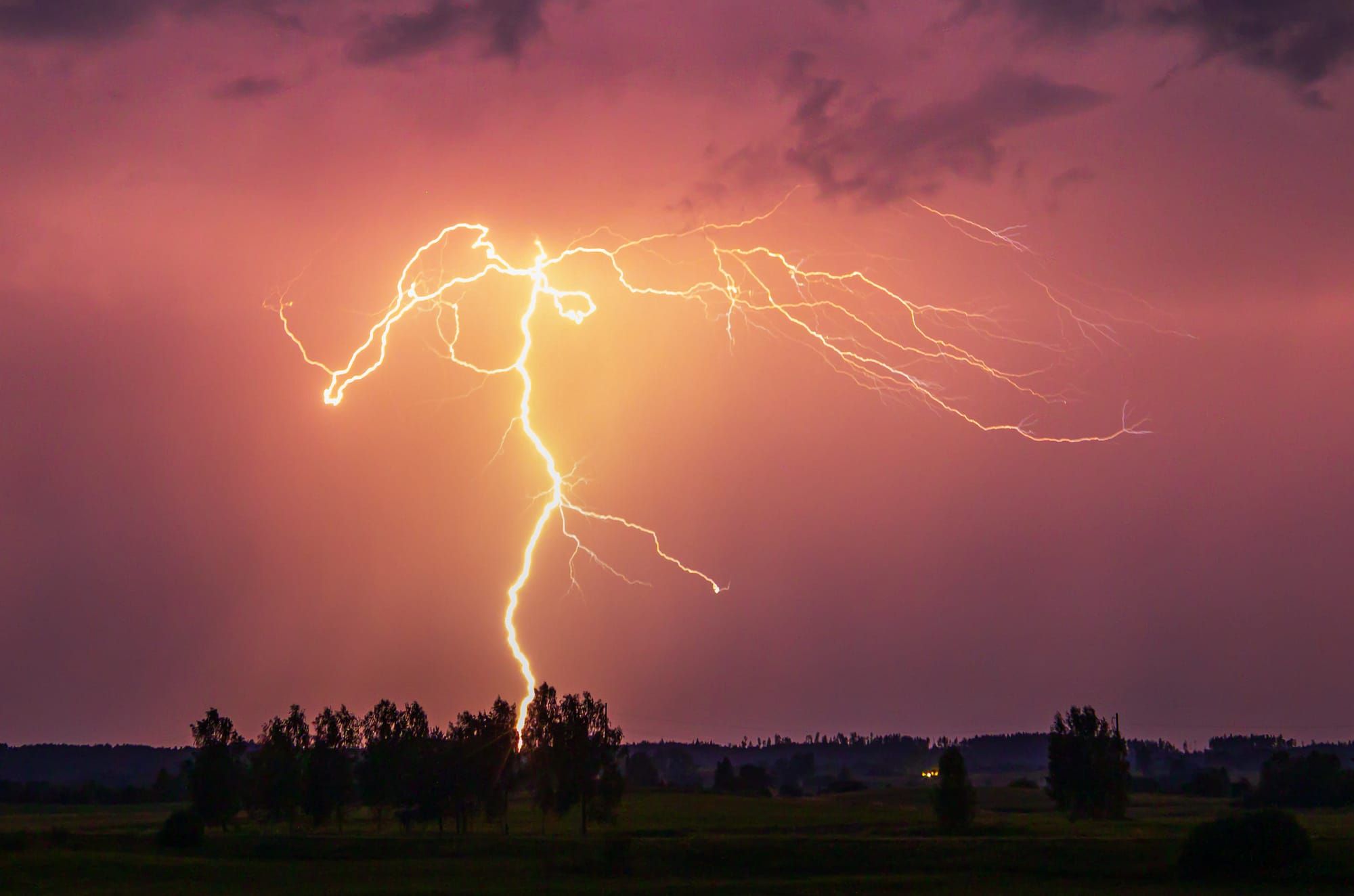 Lightning strike on ground behind trees