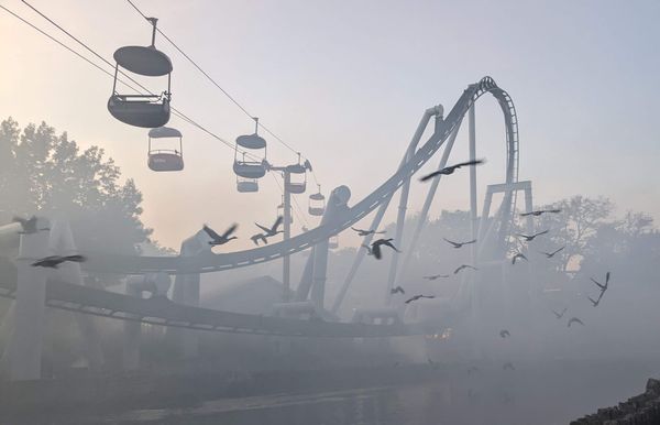 Roller coaster tracks and skylift with a foggy mist surrounding it and a flock of birds flying by in the foreground