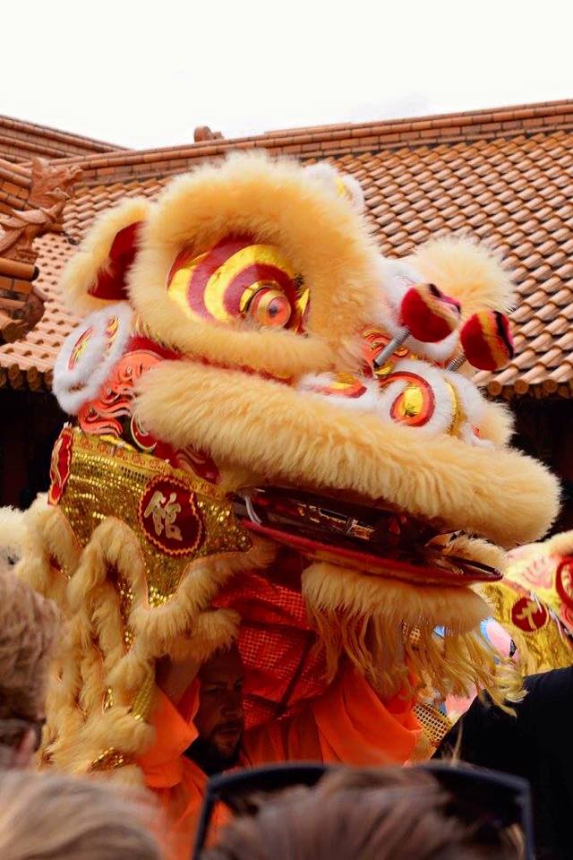 Damien Performing as a Hok San Lion Head Chung Tian Temple Brisbane