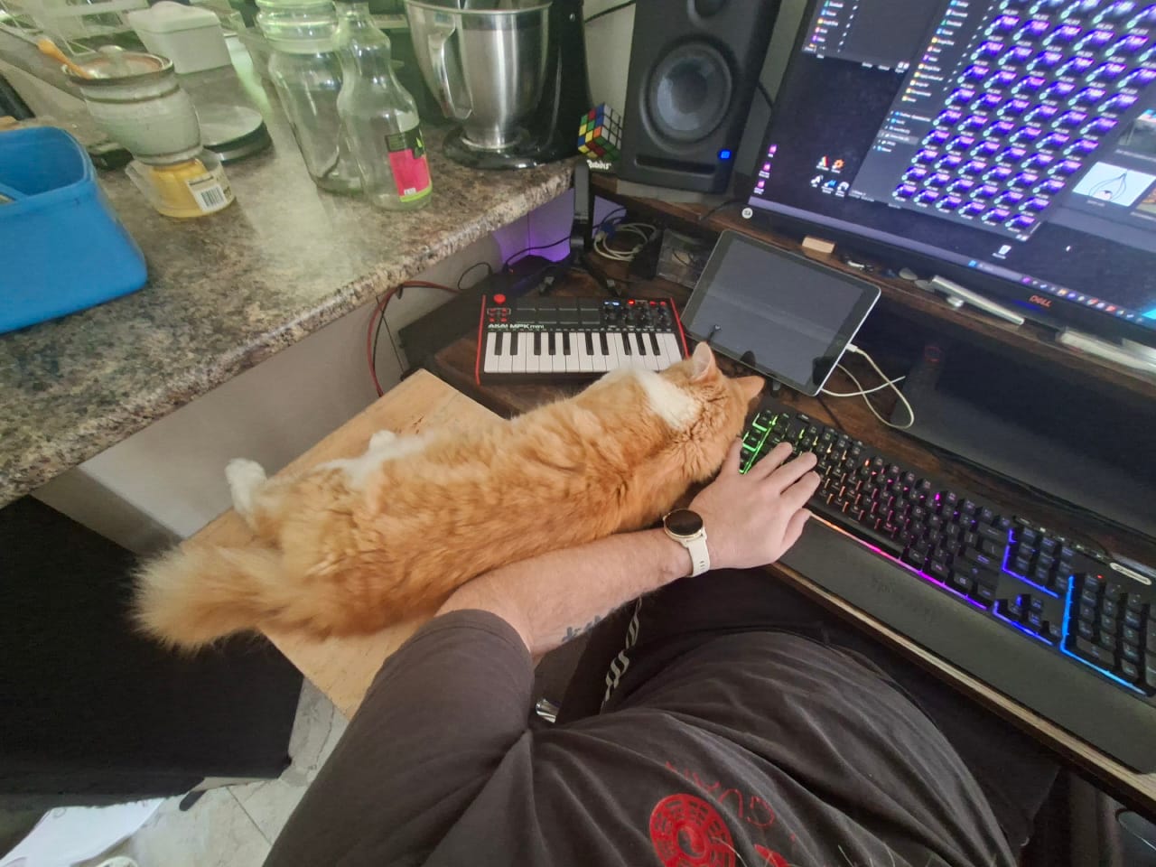 First person view of my desk with Fluffkins the cat sleeping on my arm.