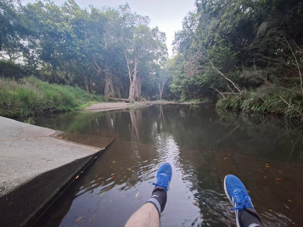 View of the local creek during one of my daily walks.