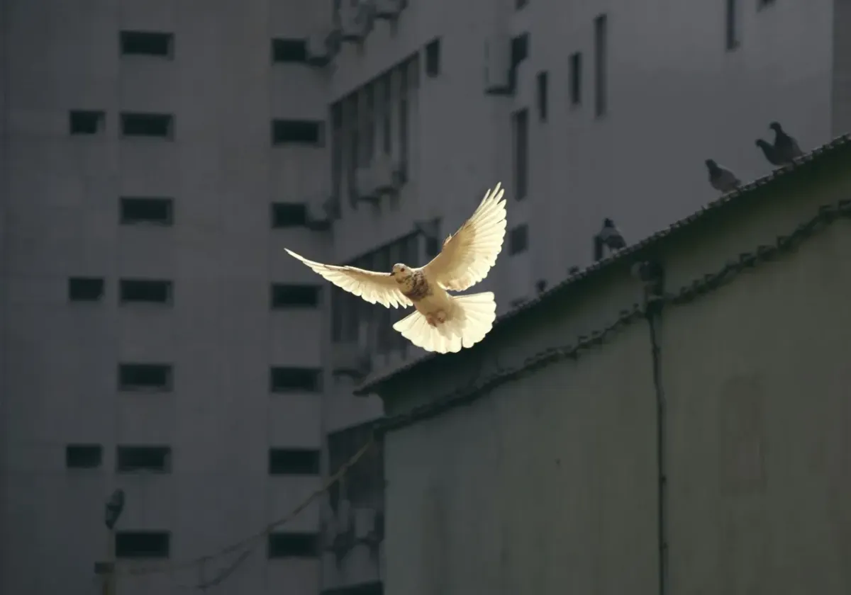 The Better Angels of Our Nature by Steven Pinker